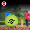 Nivia Heavy Tennis Ball Cricket Ball (Pack of 6), Yellow view 3