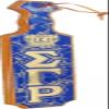 Sigma Gamma Rho Crest Domed Paddle [21x5.5" - B... view 1