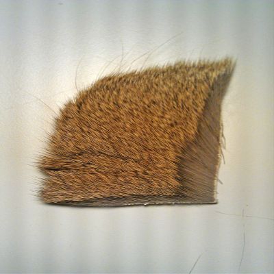 Deer Hock (1 " x 2") (Natural (DHN-01-48))
