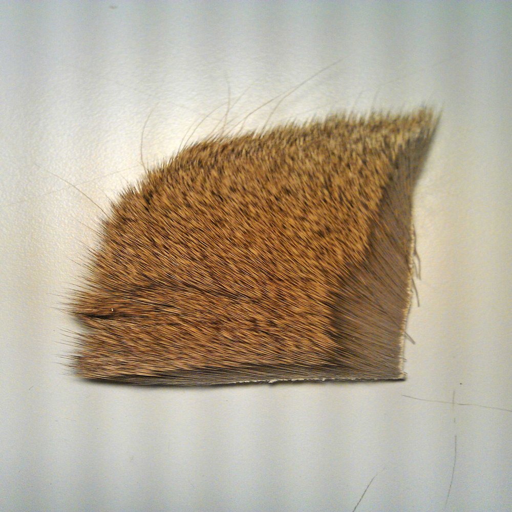 Deer Hock (1 " x 2") (Natural (DHN-01-48))