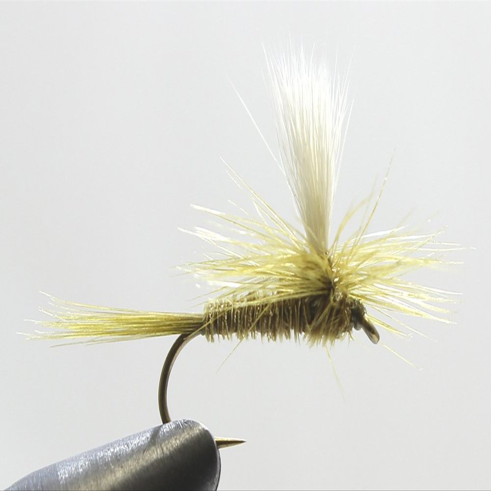 AXISCO WH#14 AM Parachute 3 Olive Dan