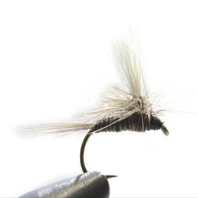 AXISCO AM Parachute Pack of 3 Quill Gordon WH#14