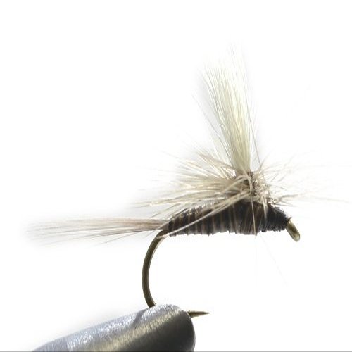 AXISCO AM Parachute Pack of 3 Quill Gordon WH#14