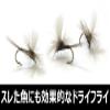 AXISCO AM Parachute Pack of 3 Quill Gordon WH#14 view 2
