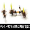 AXISCO Royal Coachman YE#16 AM Parachute Pack of 3 view 2