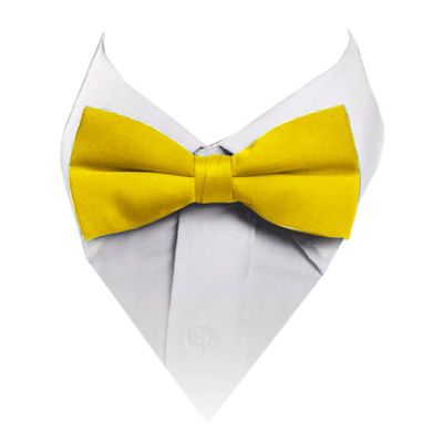 Solid Banded Bowtie Lemon Yellow TO-49