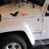 East Coast Vinyl Werkz Flamed Eagle Decals - 2 Piece Set - car Truck 4x4 Hood Door RV Camper view 3