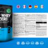 BioTechUSA ISO Whey Zero Isolate 100% Pure Protein 500g - Vanilla view 4