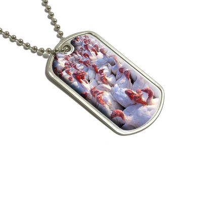 Graphics and More Turkeys Military Dog Tag Keychain (d2226)