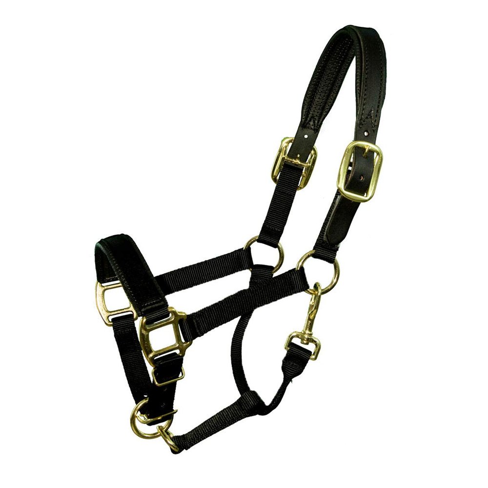 Halter Yearling/Pony W/Nose PAD Black, Black, Year/Pony