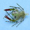 Descendent Crab Olive #2/0 view 1