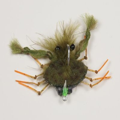 Palometa Crab Olive #2