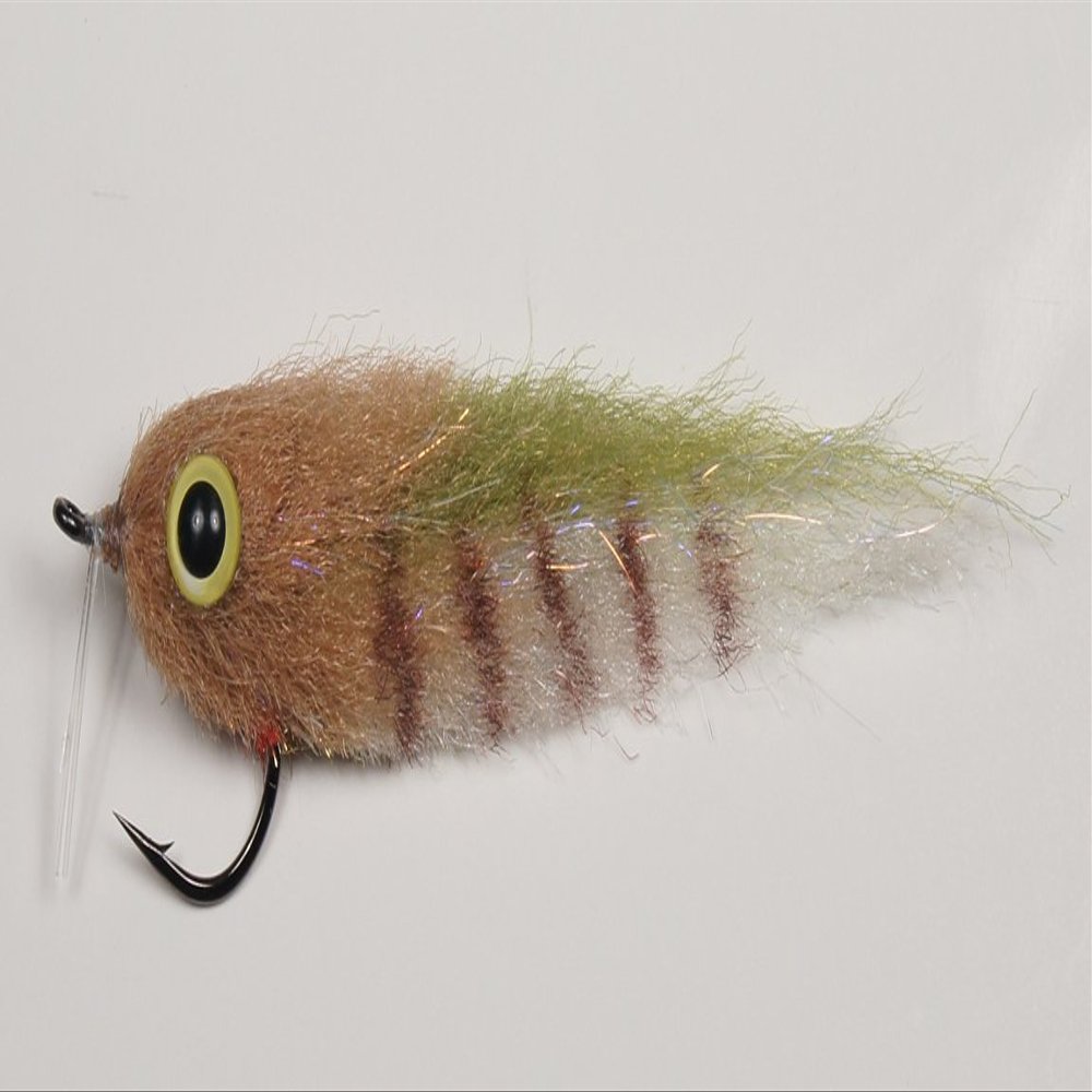 Floating Minnow Everglades Sp #1
