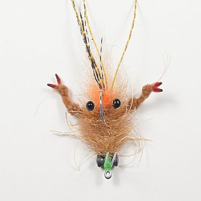 Tarantula Crab Mottled Tan #1