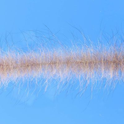 Enrico Puglisi EP Foxy Brush 1.5" Wide