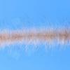 Enrico Puglisi EP Foxy Brush 1.5" Wide view 1
