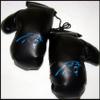 Fremont Die NFL Carolina Panthers 4" Mini Boxing Gloves, 4", Black/Team Colors view 1