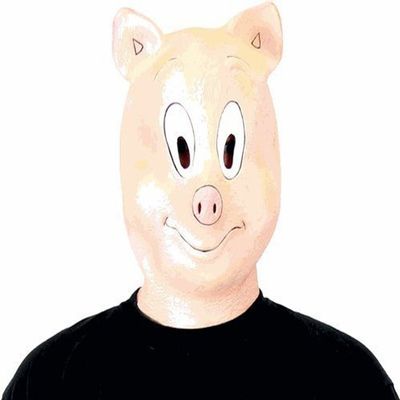 Costume Agent Adult Pig Mask Halloween Costume