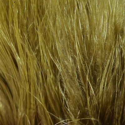 Hareline Fly Tying Marabou Blood Quills - Olive Brown