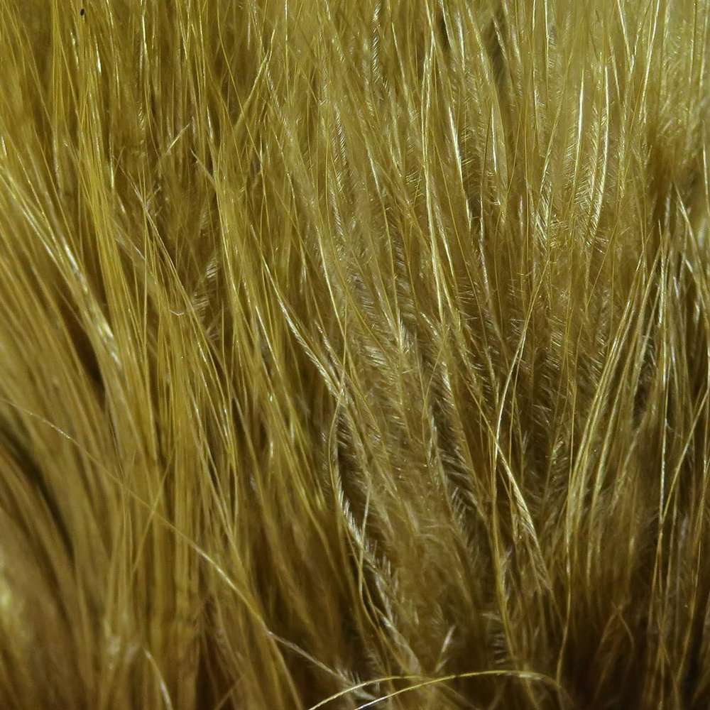 Hareline Fly Tying Marabou Blood Quills - Olive Brown