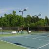 XTARPS - 12' x 100' Tennis Court Wind Screen, Fence Screen view 1