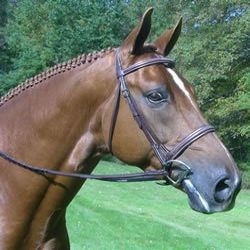 KL Select Red Barn Spirit Hunter Bridle