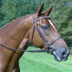 KL Select Red Barn Spirit Hunter Bridle