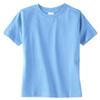Rabbit Skins Toddler Fine Jersey T-Shirt (Key Lime) (4T) view 1
