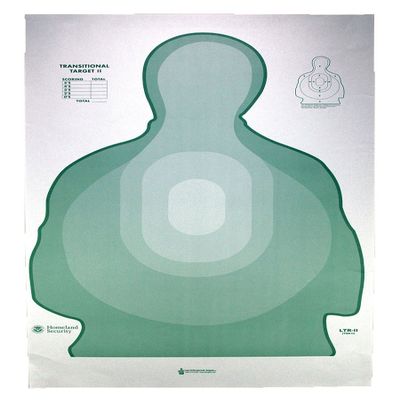GREEN US TREASURY TRANSITIONAL TARGET II 25 PACK