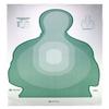 GREEN US TREASURY TRANSITIONAL TARGET II 25 PACK view 1
