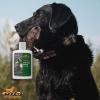 Training Scent Duck 4oz view 3
