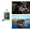 Training Scent Duck 4oz view 4