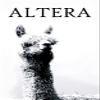 Altera Men's Explore Light Weight Crew Socks, Tweed Pink, X-Large (12-14) view 2