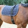 Kerbl Lunging Roller with Leather Cushion for Warm-Blooded Horses view 2