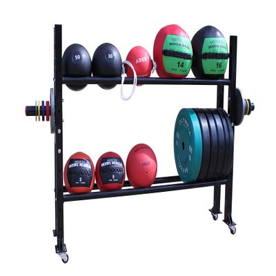 Ader Rack with Olympic 255 Lb Steel Plates (Picture for Reference Only)