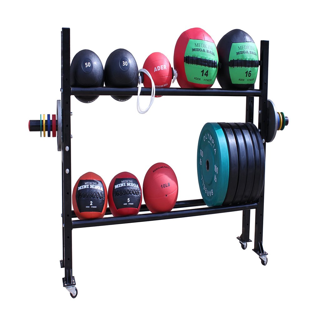 Ader Rack with Olympic 255 Lb Steel Plates (Picture for Reference Only)