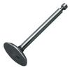 EZGO 26616G01 Intake Valve for 4-Cycle Engine view 1