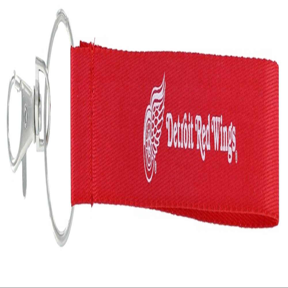 Aminco NHL Detroit Red Wings Wristlet Keychain