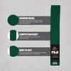 FUJI Kids Brazilian Jiu Jitsu Belt with Rank Bar, BJJ Belt for Children, Green, Size A4 view 3
