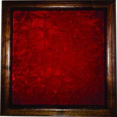 All American Gifts Single or Double Medal Awards Display Case (Red Velvet)