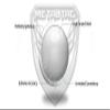 MetalTac Airsoft BBS 0.20g 125,000 Round 6mm BBS Airsoft Pellets for Airsoft bb Guns view 3
