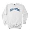Georgia Southern Eagles 50/50 Blended 8-Ounce Vintage Arch Crewneck Sweatshirt, Small, White view 1