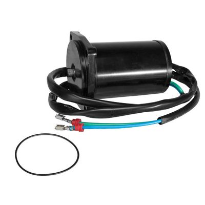 Sierra International 18-6815 Evinrude/Johnson Trim Motor