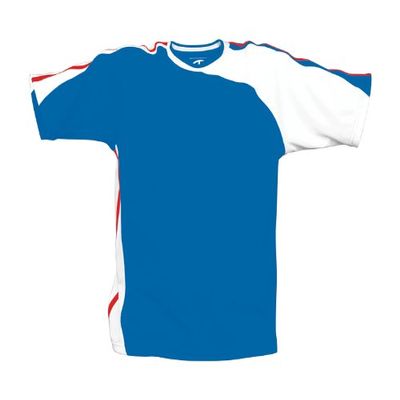 Challenger Teamwear Arizona Jersey L Royal-White