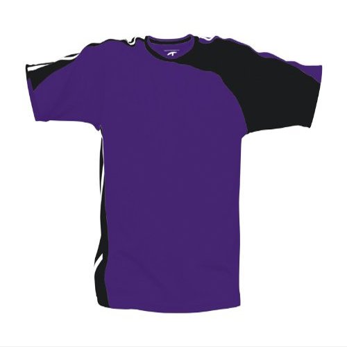 Challenger Teamwear Arizona Jersey L Purple-Black