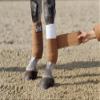 AERBORN Bettergrip 4" Wide Elasticated Tail Bandage With Tie Ends, Colour: Navy view 1