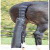 Tail Bag/ Guard/ Sleeve in Black, One size view 1