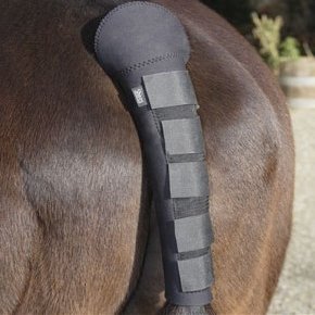 William Hunter Equestrian Neoprene Tail Guard, One Size, Black