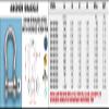 316-NM Stainless Steel Anchor Shackle w/Oversize Screw Pin 1/4" (S0116-FS07) view 1