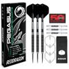 RED DRAGON Pegasus 25 Gram Professional Tungsten Steeltip Darts Set with Flights, Stems (Shafts) and Wallet view 1